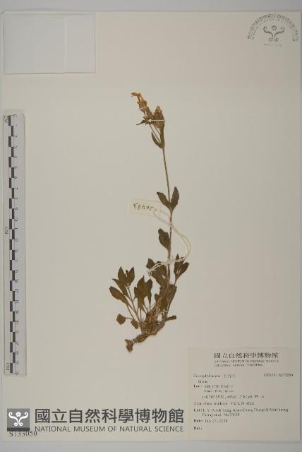 登錄號:S133050藏品圖，第1張