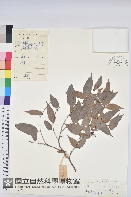 登錄號:S033750藏品圖，第1張