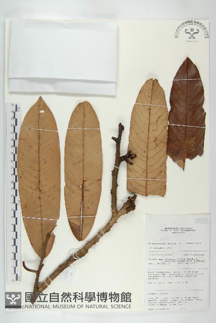 登錄號:S055250藏品圖，第1張