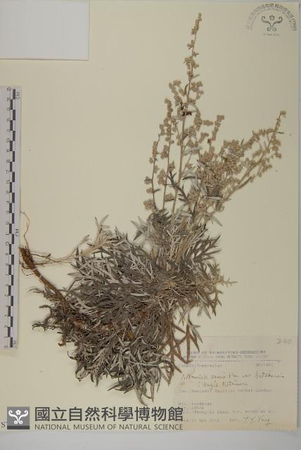 太魯閣艾藏品圖，第1張