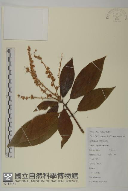 江南山柳藏品圖，第1張