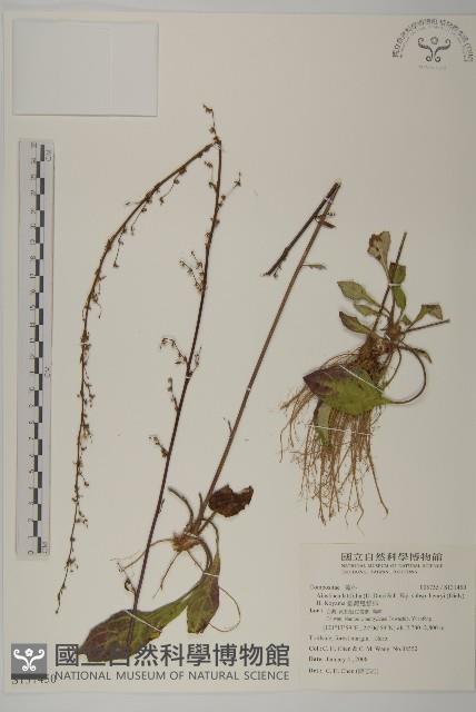 臺灣鬼督郵藏品圖，第1張