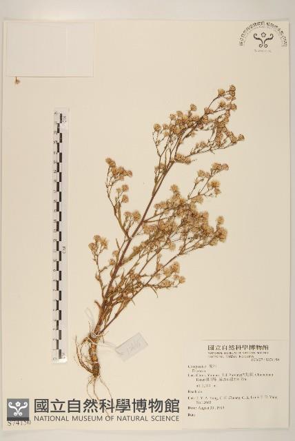 登錄號:S074150藏品圖，第1張