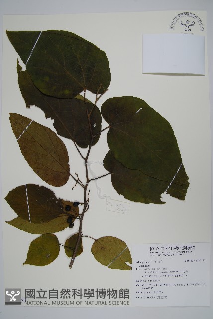 登錄號:S122350藏品圖，第1張