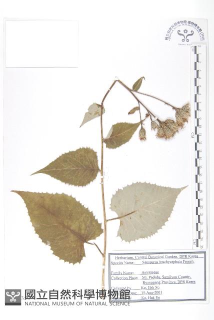 登錄號:S120350藏品圖，第1張