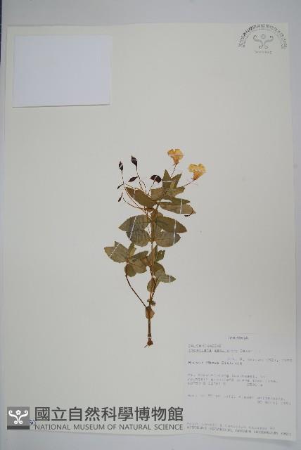 登錄號:S100850藏品圖，第1張