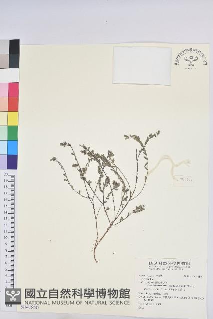 登錄號:S141850藏品圖，第1張