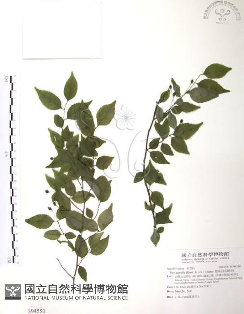 燈稱花、烏雞骨藏品圖，第1張