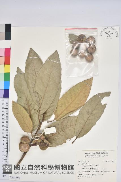 登錄號:S161690藏品圖，第1張