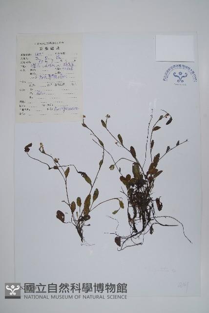 登錄號:S022790藏品圖，第1張