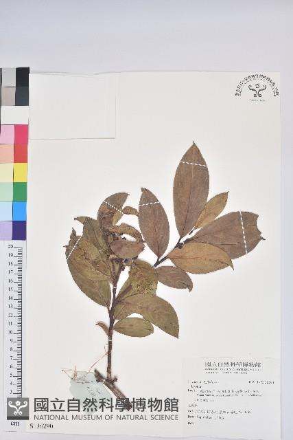 登錄號:S136290藏品圖，第1張