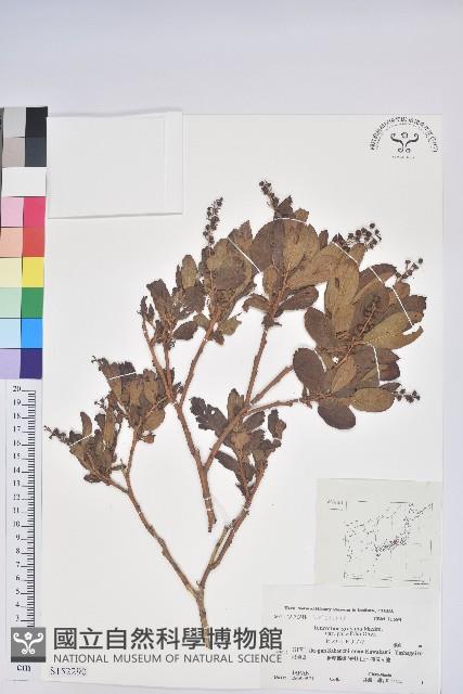 登錄號:S152290藏品圖，第1張