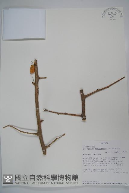 登錄號:S094290藏品圖，第1張