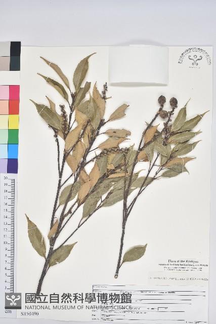 登錄號:S150490藏品圖，第1張