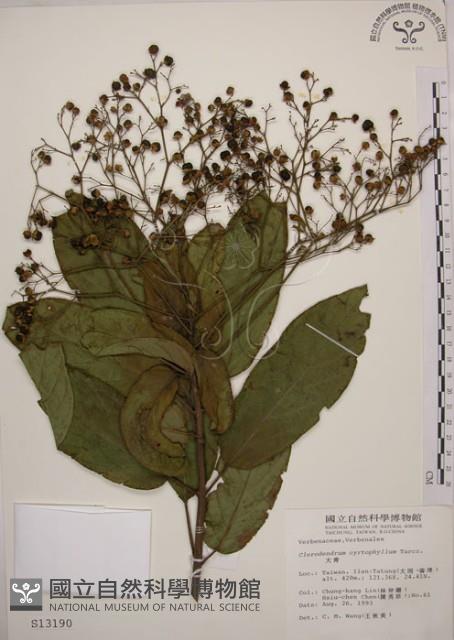 大青藏品圖，第1張