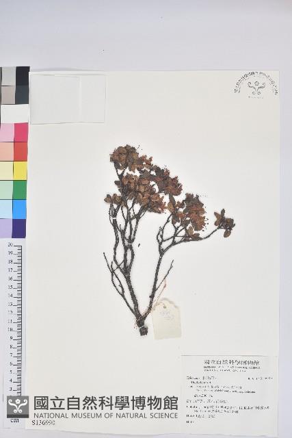 登錄號:S136990藏品圖，第1張