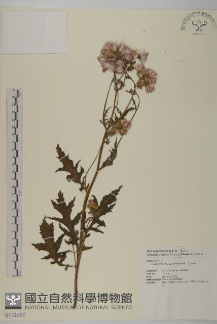 昭和草藏品圖，第1張