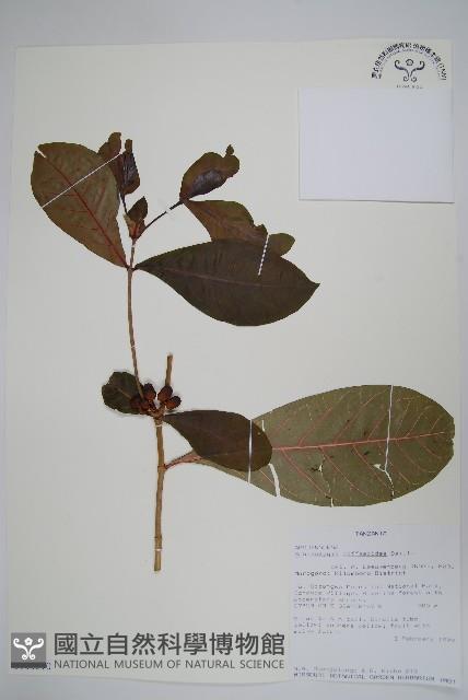 登錄號:S100590藏品圖，第1張