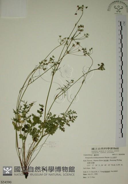 玉山茴香藏品圖，第1張