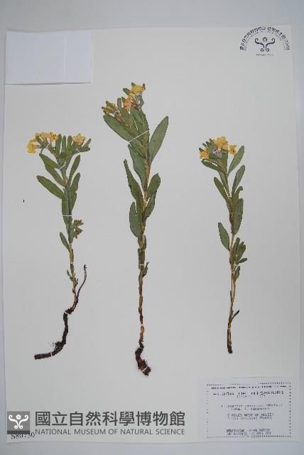 登錄號:S080730藏品圖，第1張