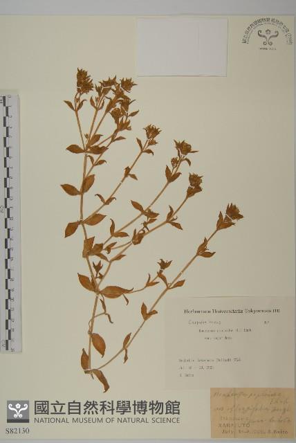 登錄號:S082130藏品圖，第1張