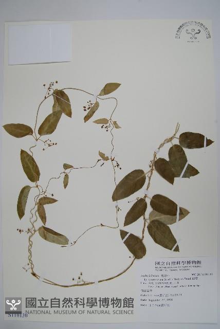 鷗蔓藏品圖，第1張