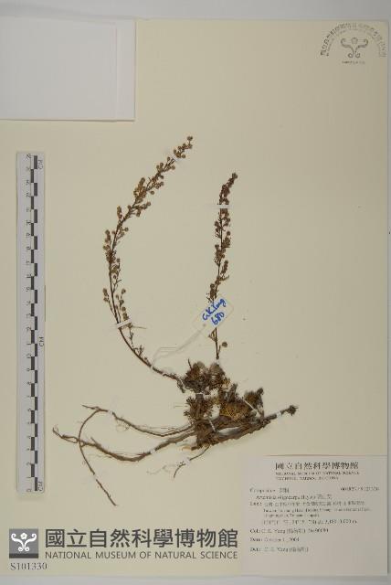 高山艾藏品圖，第1張
