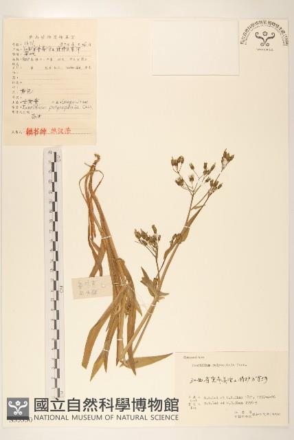 登錄號:S055330藏品圖，第1張