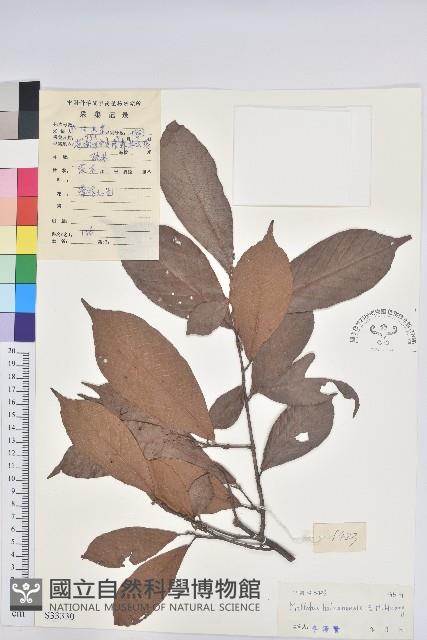 登錄號:S033330藏品圖，第1張