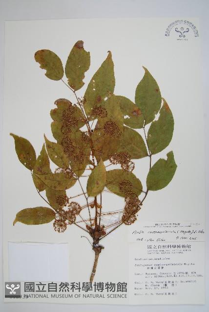 登錄號:S012930藏品圖，第1張