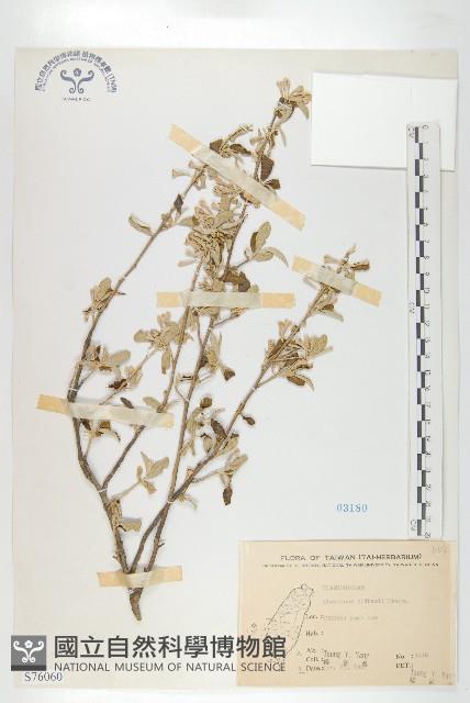 宜梧藏品圖，第1張