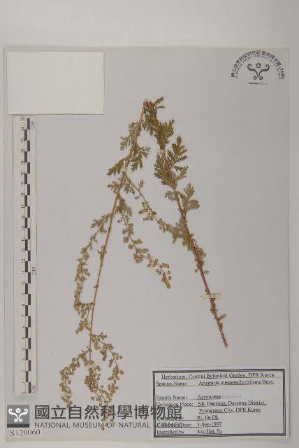 登錄號:S120060藏品圖，第1張