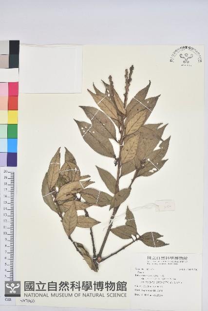 登錄號:S097060藏品圖，第1張