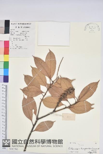 登錄號:S101760藏品圖，第1張