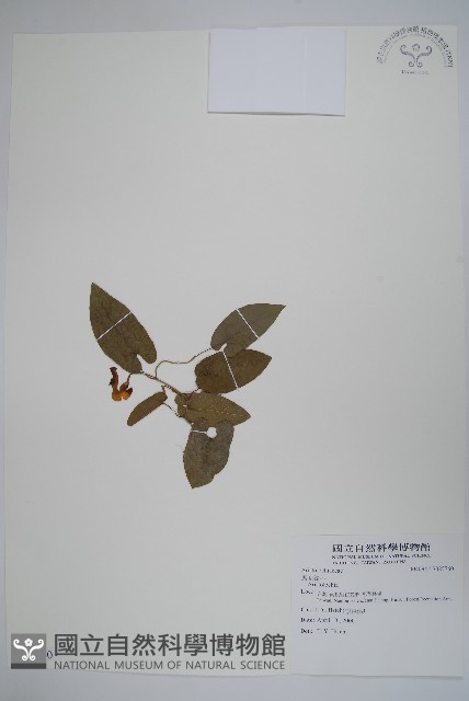 登錄號:S085760藏品圖，第1張