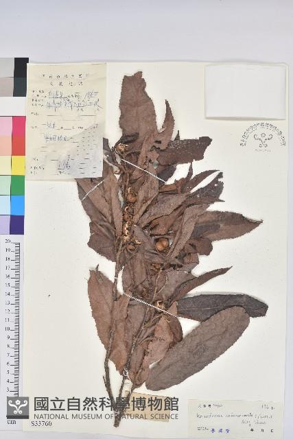 登錄號:S033760藏品圖，第1張