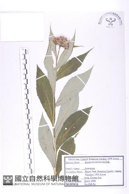 登錄號:S120260藏品圖，第1張