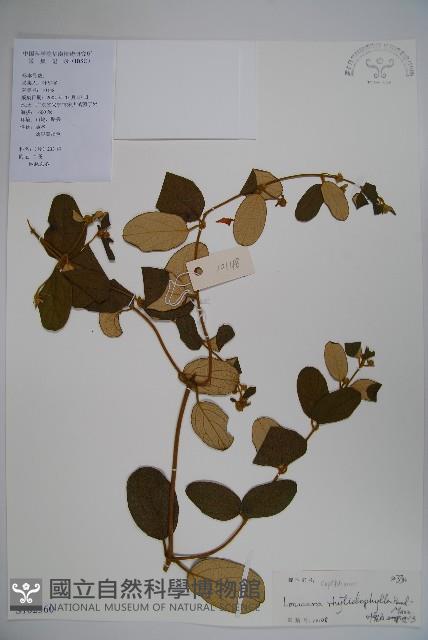 登錄號:S102360藏品圖，第1張