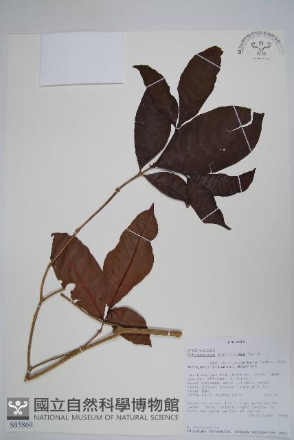 登錄號:S095860藏品圖，第1張