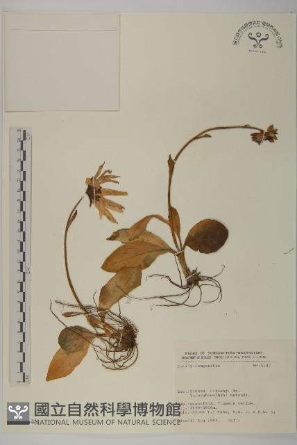 登錄號:S031640藏品圖，第1張