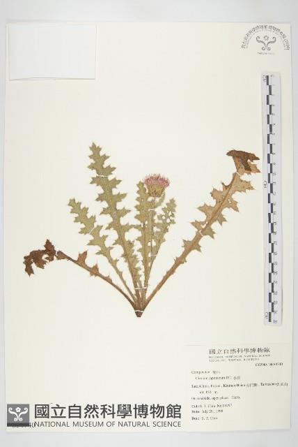 小薊藏品圖，第1張