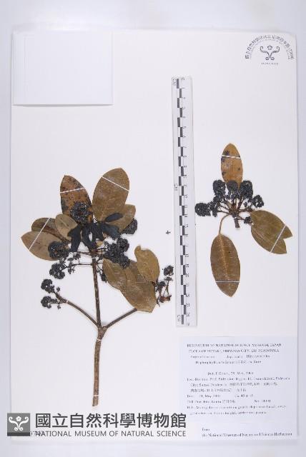 登錄號:S130740藏品圖，第1張