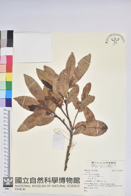 登錄號:S140240藏品圖，第1張