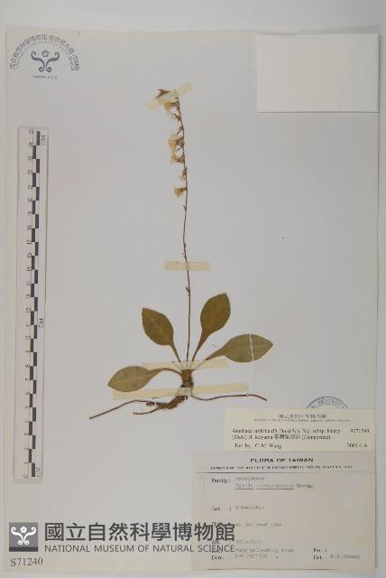 臺灣鬼督郵藏品圖，第1張