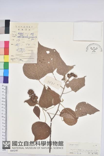 登錄號:S044240藏品圖，第1張