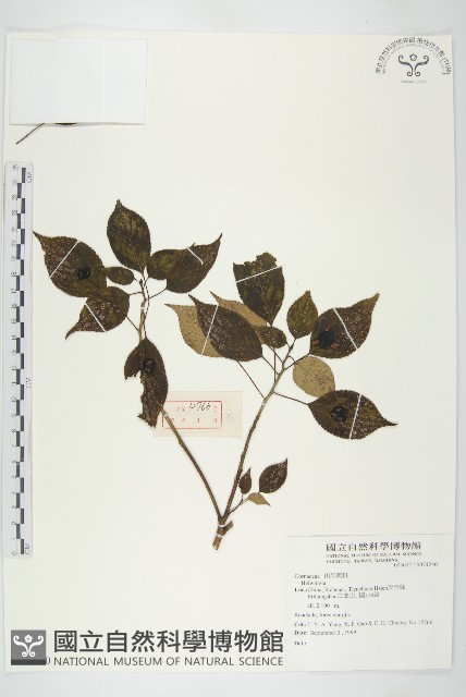 登錄號:S074240藏品圖，第1張