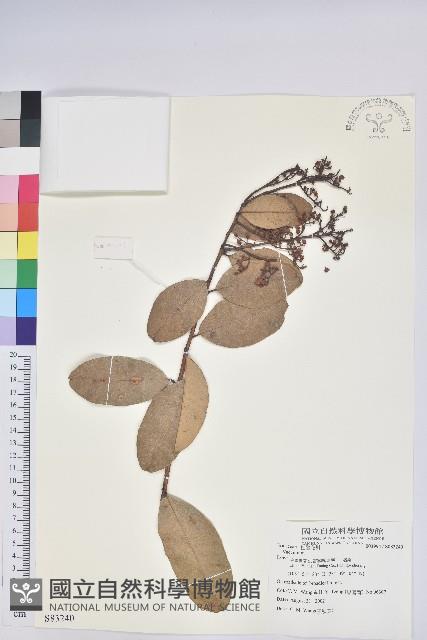 登錄號:S083240藏品圖，第1張