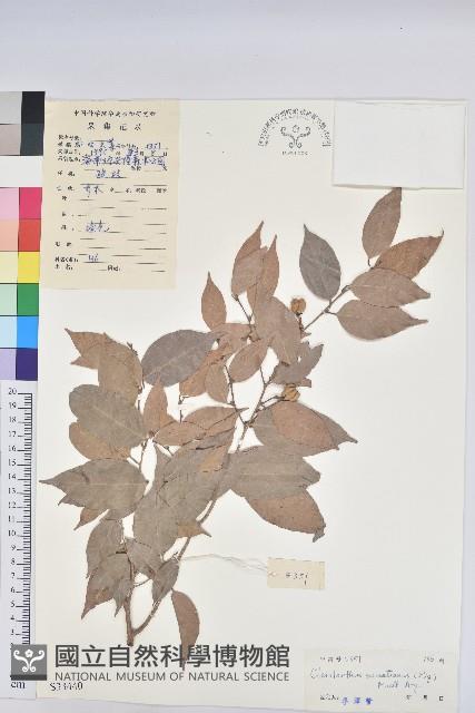 登錄號:S033440藏品圖，第1張