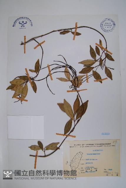 登錄號:S076140藏品圖，第1張