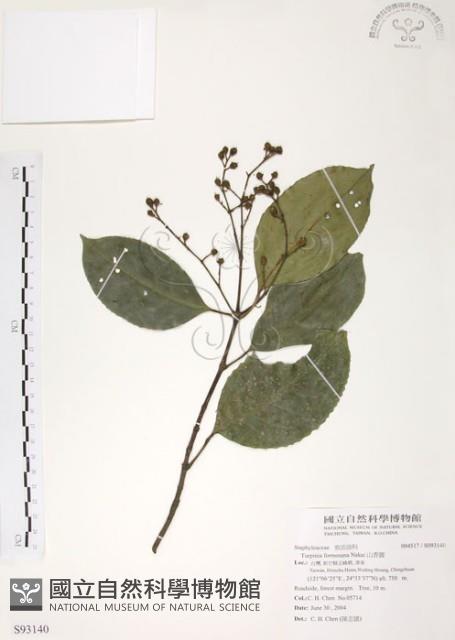 山香圓藏品圖，第1張